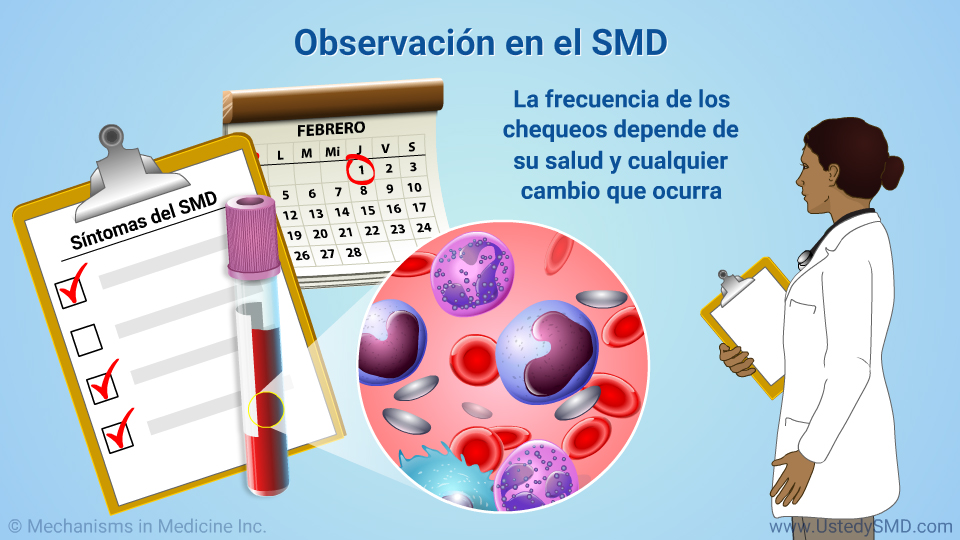 Observación en el SMD