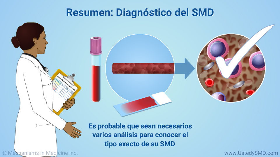 Resumen: Diagnóstico del SMD