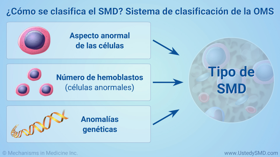 ¿Cómo se clasifica el SMD? Sistema de clasificación de la OMS