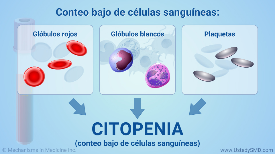 Conteo bajo de células sanguíneas: citopenia