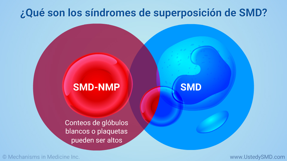 ¿Qué son los síndromes de superposición de SMD?