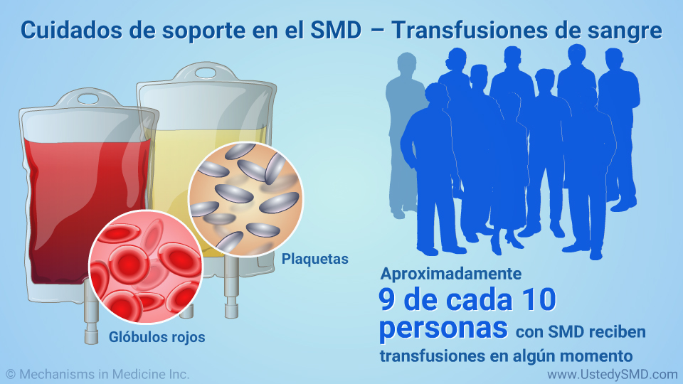 Cuidados de soporte en el SMD – Transfusiones de sangre