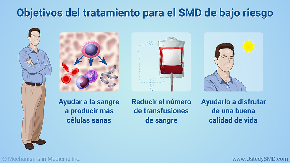 Objetivos del tratamiento para el SMD de bajo riesgo