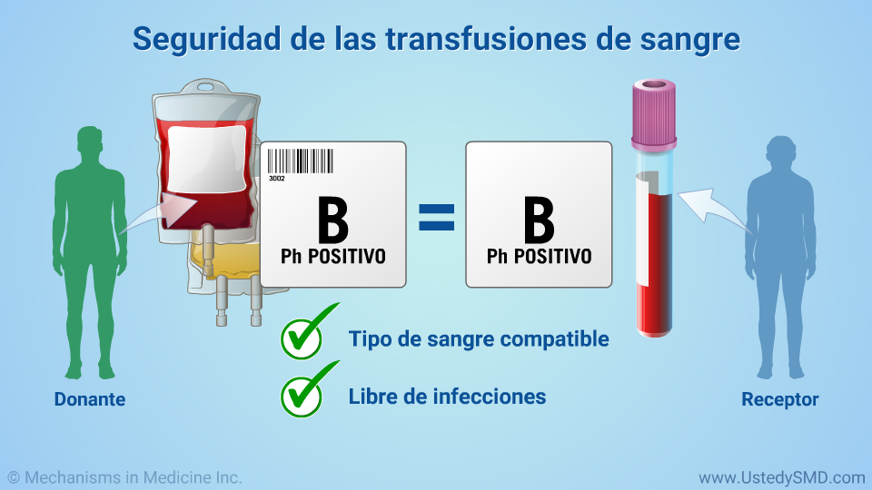 Seguridad de las transfusiones de sangre