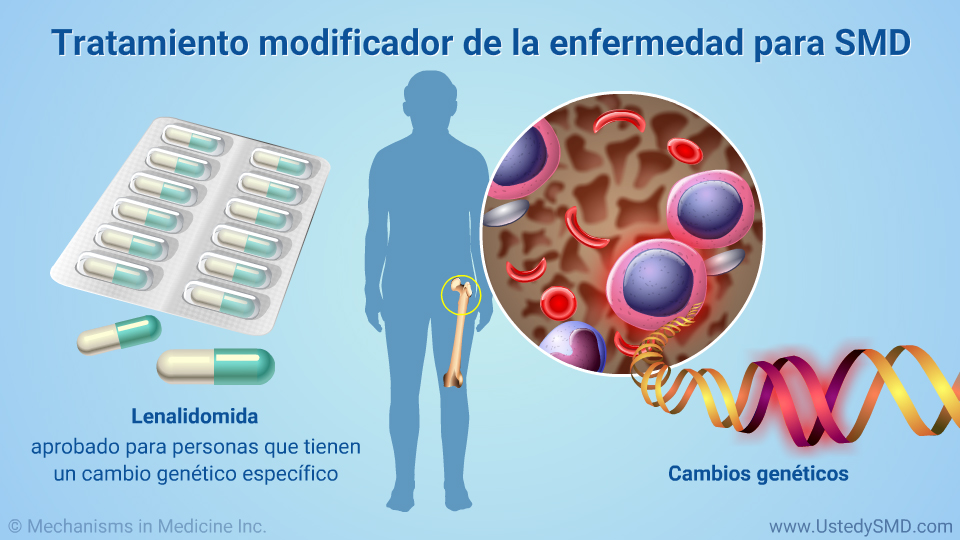 Tratamiento modificador de la enfermedad para SMD (continuación)